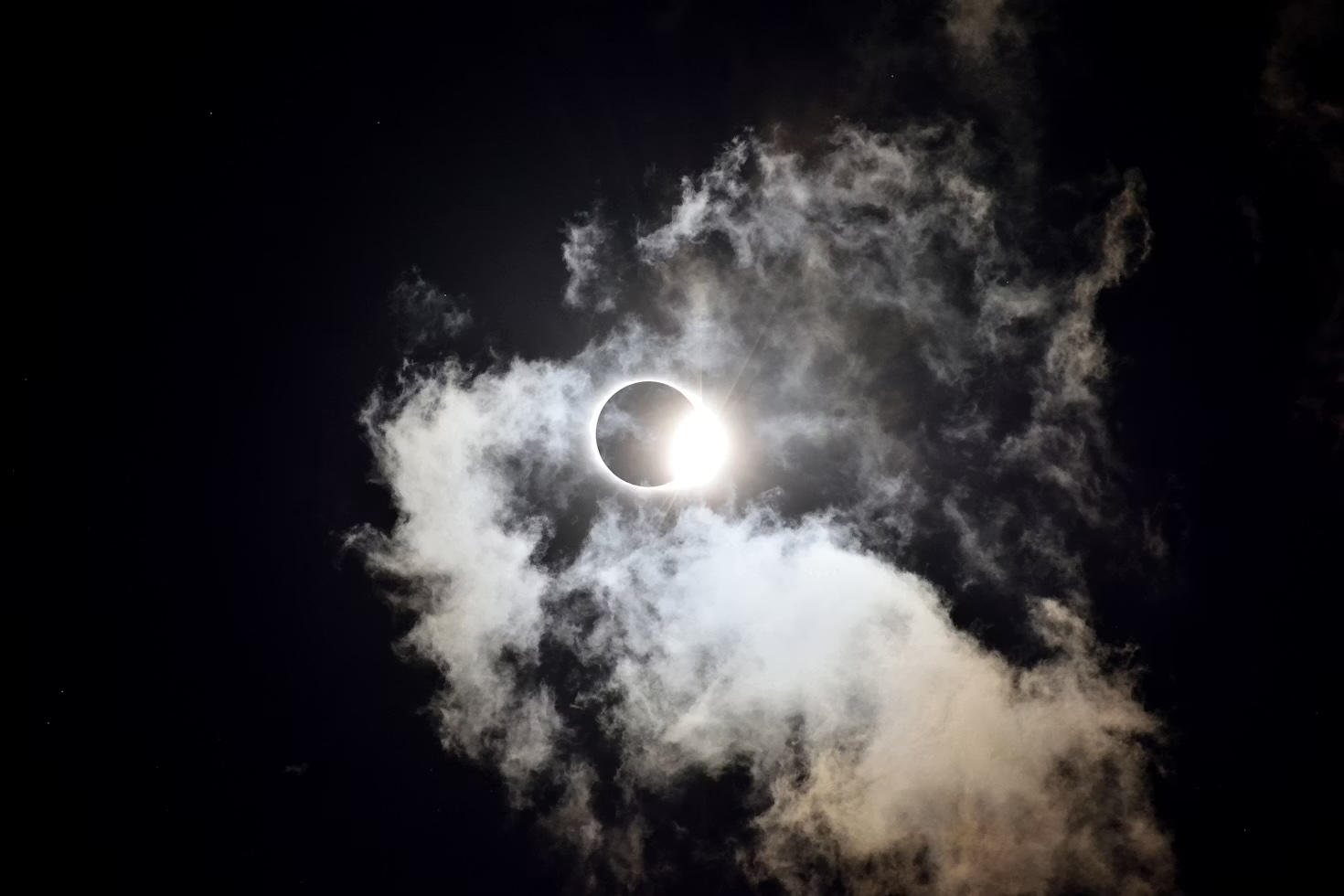 Sol shows a rise in legal compliance, ChatGPT positioned to eclipse Claude